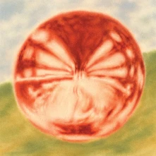 CD BLOOMSDAY - HEART OF THE ARTICHOKE