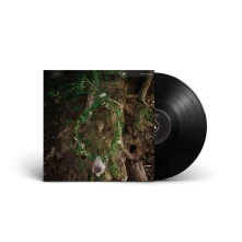 Vinyl MAGGOT MASS
