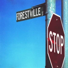 Vinyl 924 FORESTVILLE ST