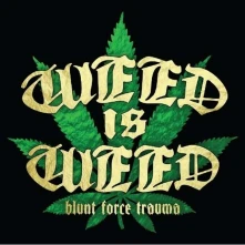 CD BLUNT FORCE TRAUMA