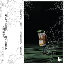 CD SIVAN ELDAR: LIKE FLESH