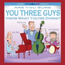 Vinyl ARE YOU SURE YOU THREE...