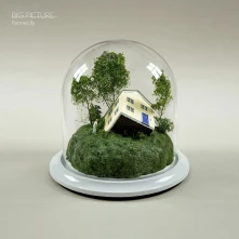 Vinyl BIG PICTURE