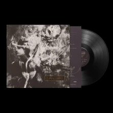Vinyl LIVONIA