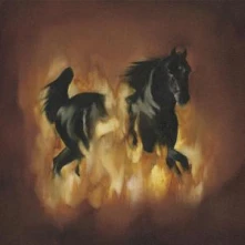 Vinyl ARE THE DARK HORSE