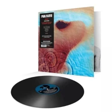 Vinyl Meddle
