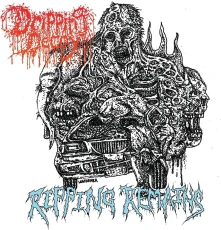 Vinyl RIPPING REMAINS