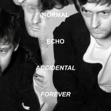 Vinyl ACCIDENTAL FOREVER