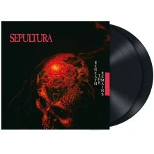 Vinyl Beneath The Remains