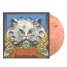 Vinyl HOUSE (HAUSU)