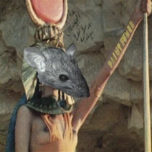 Vinyl EGYPTIAN RATS