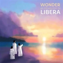 Vinyl WONDER: AN INTRODUCTIO...