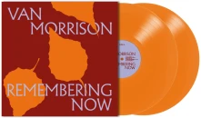 Vinyl REMEMBERING NOW