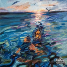Vinyl ADULTSWIM (NAVY)