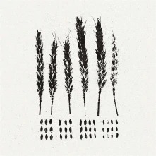 CD LO! - GLEANERS