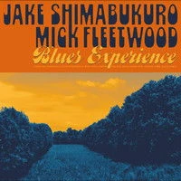 Vinyl BLUES EXPERIENCE