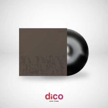 Agust D, Vinyl D-DAY