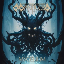 CD MYCELIUM