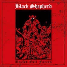 Vinyl UNITED EVIL FORCES