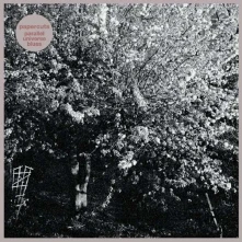 CD PARALLEL UNIVERSE BLUES