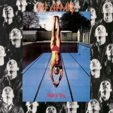 Vinyl HIGH 'N' DRY