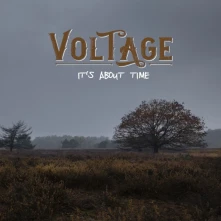 Vinyl IT'S ABOUT TIME