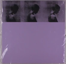 Vinyl Belong - Realistic Ix