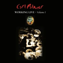 Vinyl WORKING LIVE 1