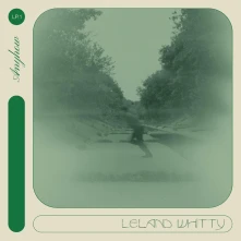 Leland Whitty, Vinyl ANYHOW
