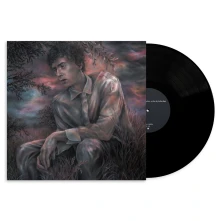 Vinyl LATER THAT DAY, THE DA...