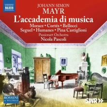 CD Passionart Orchestra / Ni - Mayr: L'accademia Di Musica
