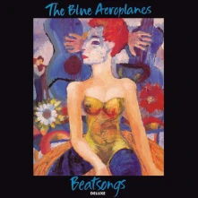 Vinyl BEATSONGS