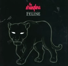 CD Feline