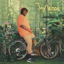 CD Jaywood - Slingshot