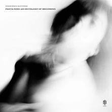 Vinyl PANTA RHEI: AN ONTOLOG...