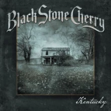 CD KENTUCKY