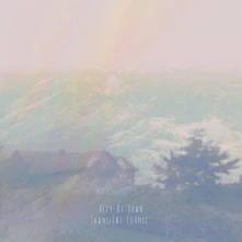 CD TRANSIENT LOUNGE