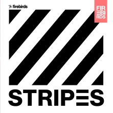 Vinyl STRIPES