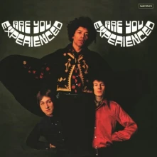 Vinyl Are You Experienced