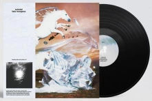Vinyl FATA MORGANA