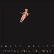Vinyl FLOATING INTO THE NIGHT