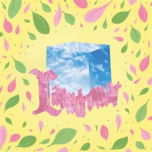 CD LAUNDROMAT