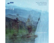 CD OPENNESS TRIO