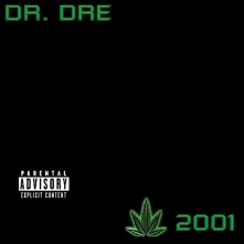 Vinyl 2001