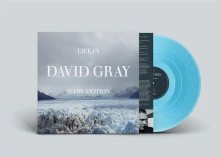 Vinyl LIFE IN SLOW MOTION