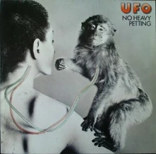 Vinyl NO HEAVY PETTING