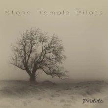 Stone Temple Pilots, CD PERDIDA