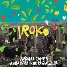 Vinyl COHEN, AVISHAI - IROKO