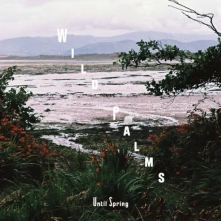 CD WILD PALMS - UNTIL SPRING'