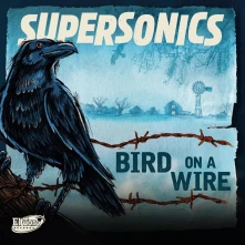 CD BIRD ON A WIRE